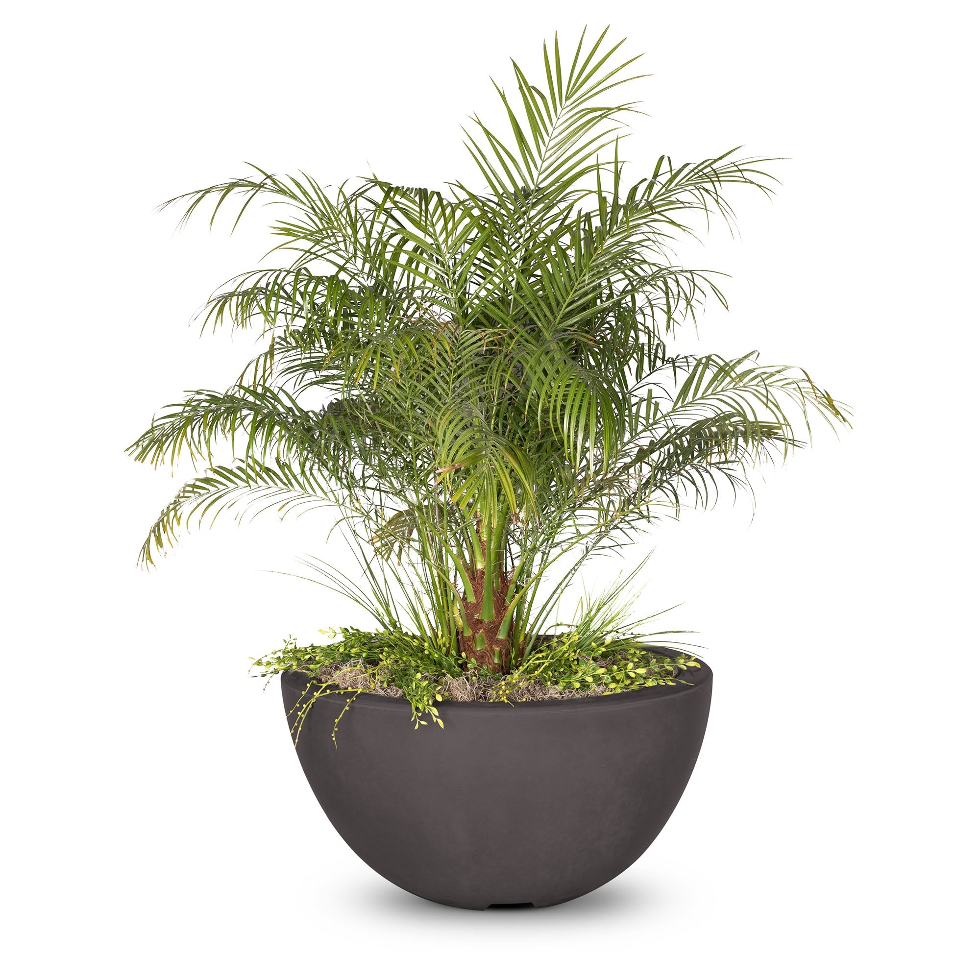 Luna Planter Bowl Chestnut
