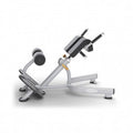 Johnson Health Tech Aura Back Extension Bench - Matrix Aura Back Extension Bench - G3-FW52