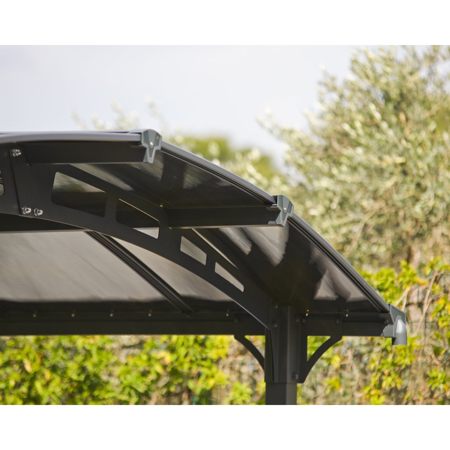 Palram - Canopia | Arcadia Alpine RV Carport 12x35x11.5 ft - HG9128