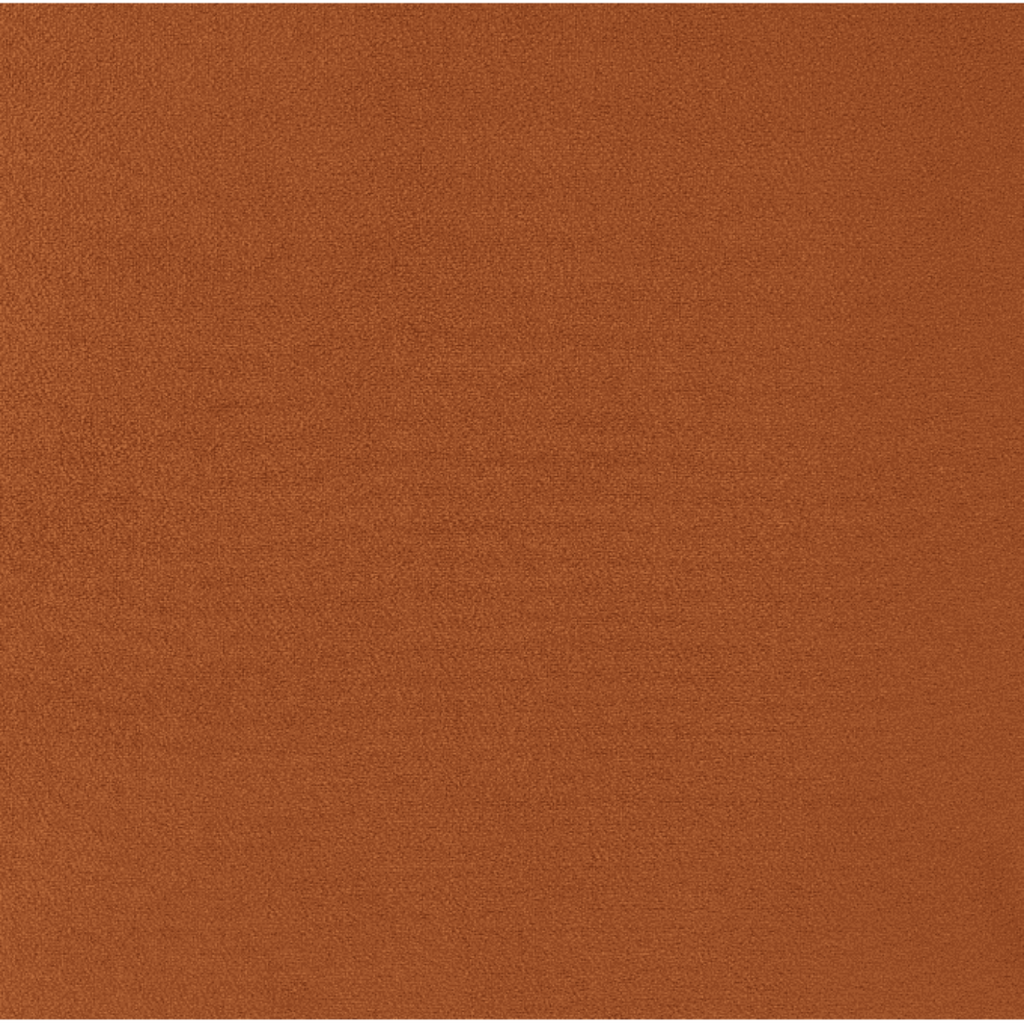 New Pacific Direct Arianna Velvet Fabric Accent Arm Chair 1900183-565 - 1900183-565