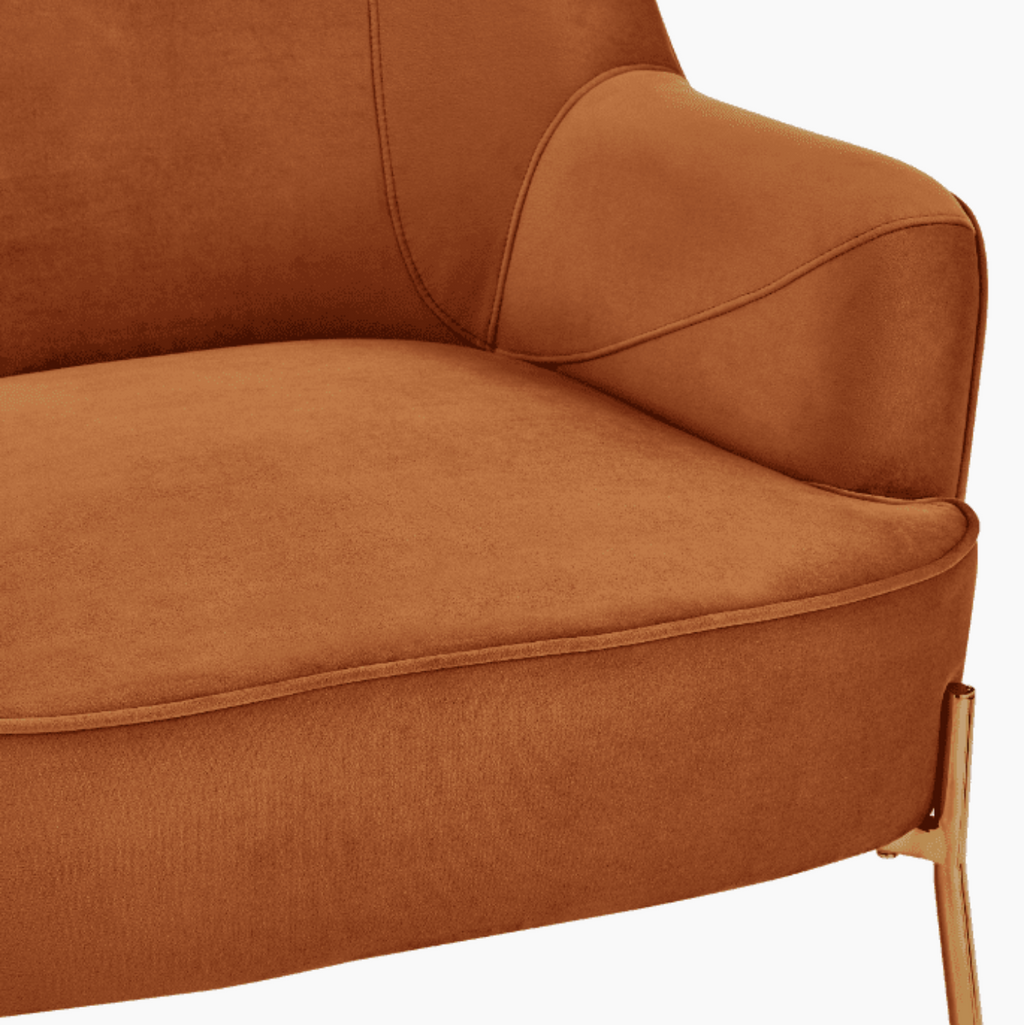 New Pacific Direct Arianna Velvet Fabric Accent Arm Chair 1900183-565 - 1900183-565