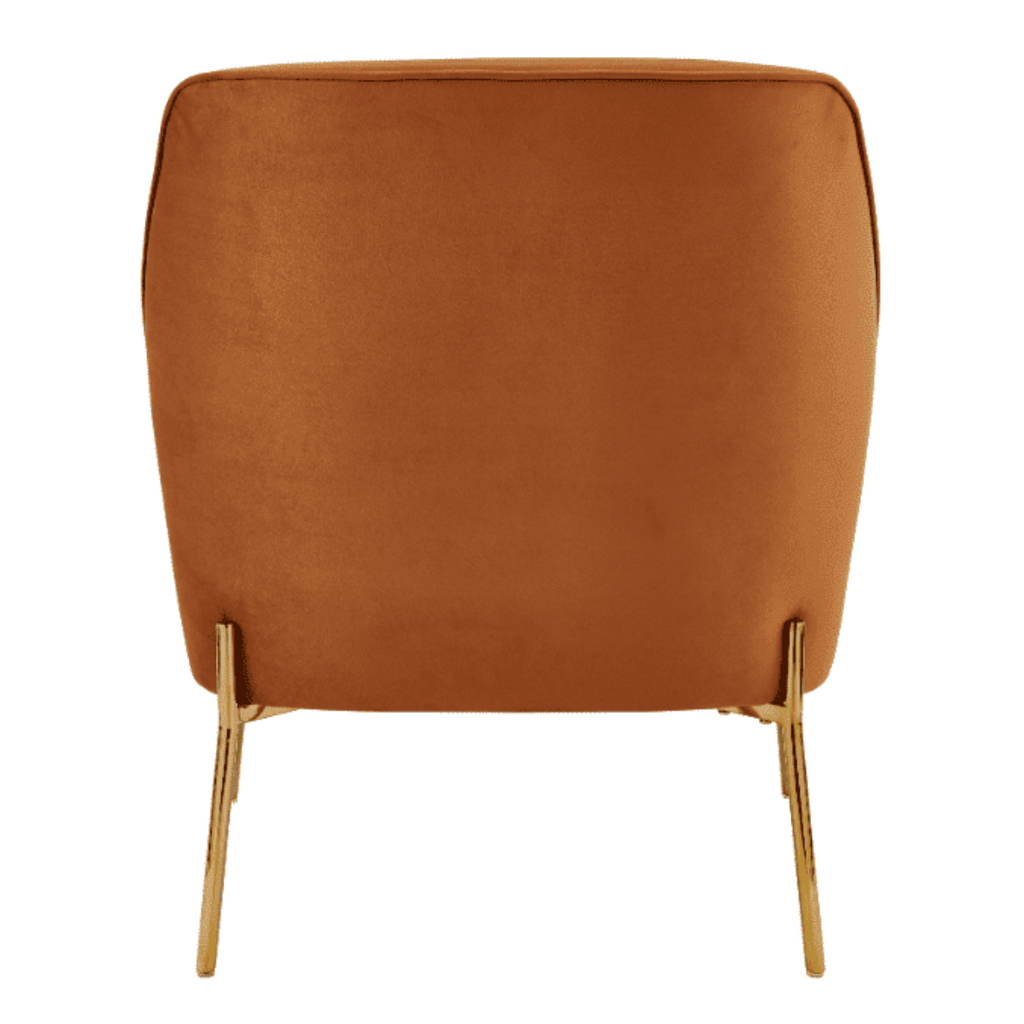 New Pacific Direct Arianna Velvet Fabric Accent Arm Chair 1900183-565 - 1900183-565