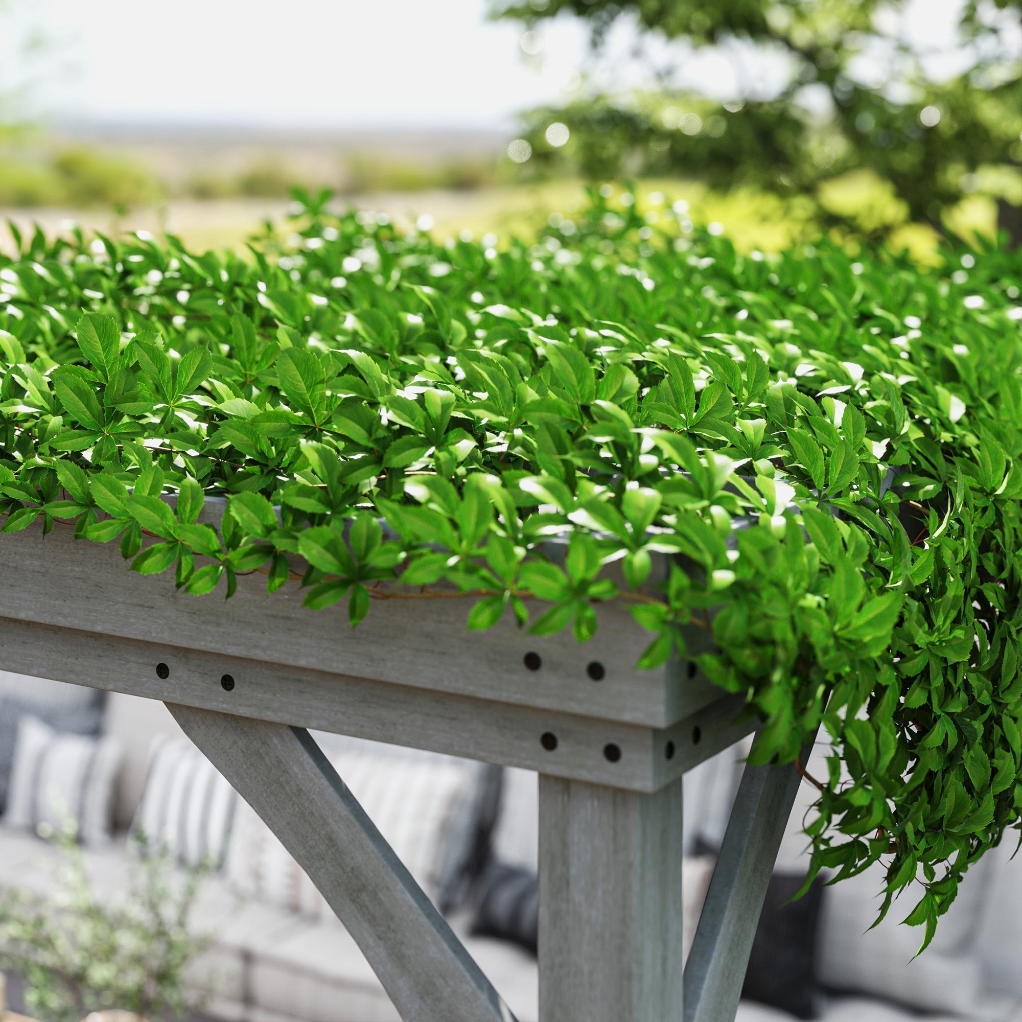 12' x 20' Wooden Pergola with Grape Vine Design & Concrete Anchors, Gray