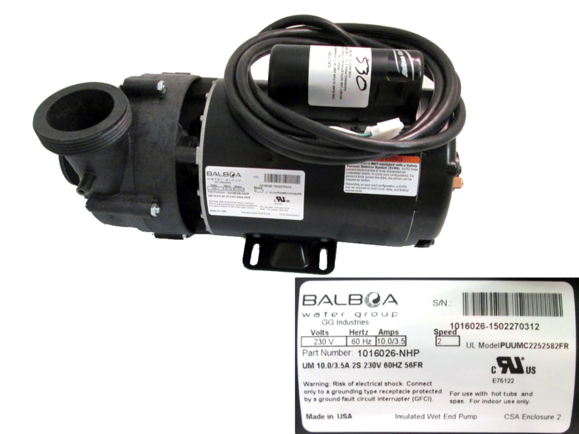 MASTER SPAS Pump, 10a 2sp 230v 56fr - X320530