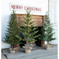 Park Hill Collection Tree Lot Third-Year Faux Seedling Trees, Set of 3, Assorted Styles - XPQ80212