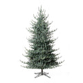 Park Hill Collection Tree Lot 10' Park Hill Blue Spruce LED Lights - XPQ82162