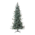 Park Hill Collection Tree Lot 9' Park Hill Slim Line Blue Spruce LED Lights - XPQ82166