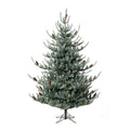 Park Hill Collection Tree Lot 7.5' Park Hill Blue Spruce LED Lights - XPQ82168