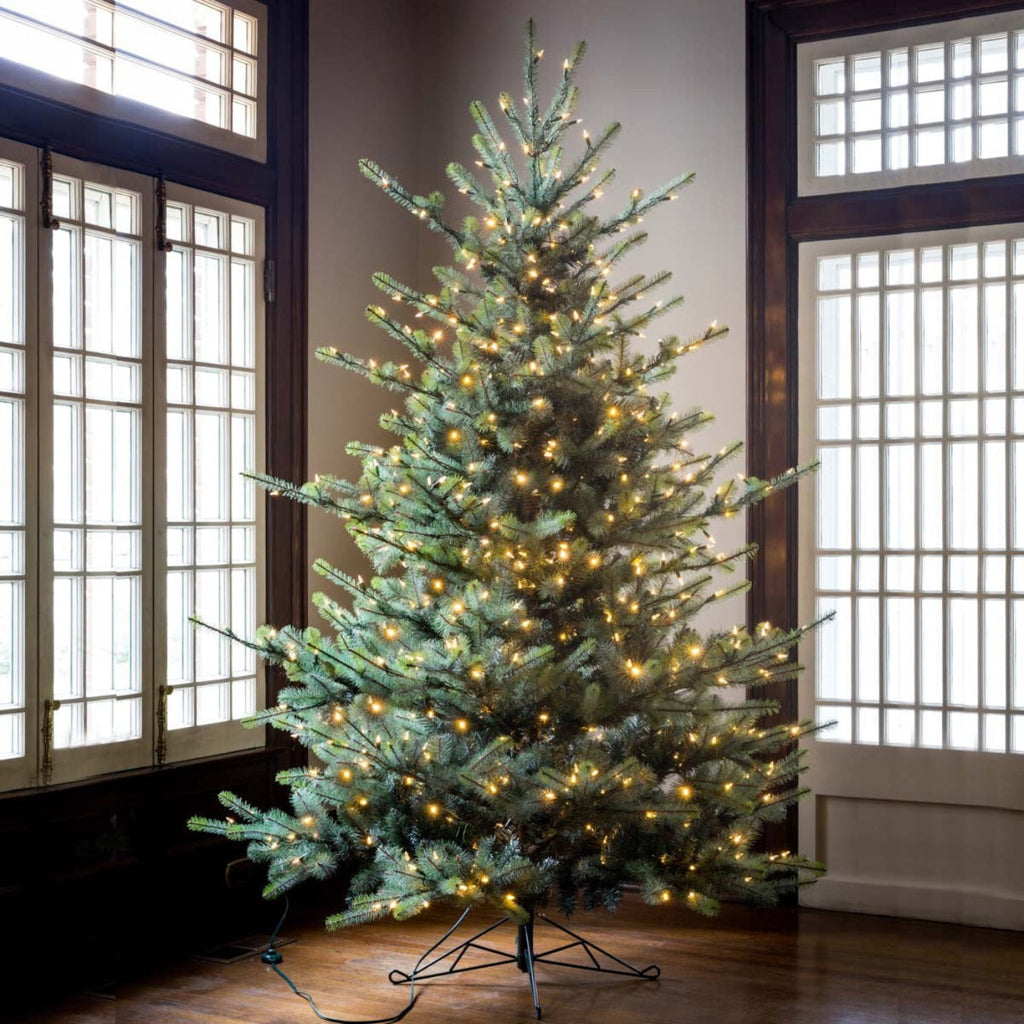 Park Hill Collection Tree Lot 7.5' Park Hill Blue Spruce LED Clear/Multi-Color Option - XPQ82169
