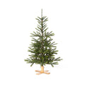 Park Hill Collection Tree Lot 5' Great Northern Spruce Pine Tree with Micro LED Lights - XPQ90662