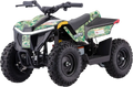 Droyd Fury ATV for Kids Electric 36V 8Ah Lithium Ion 500W Brushless 10 Miles 15 MPH New - XW-A01-GRO