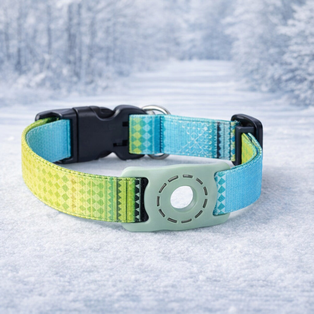 air tag chien