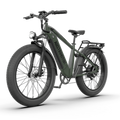 Aostirmotor KING 1000W 52V All-Terrain Fat Tire Electric Bike