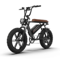 Aostirmotor Storm 750W 48V Fat Tire Electric Bike