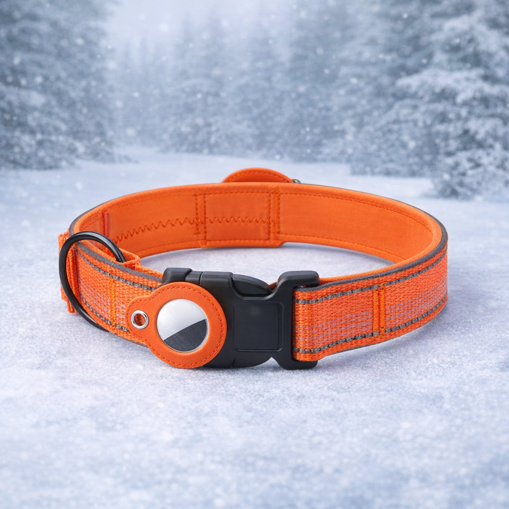 balise gps chien