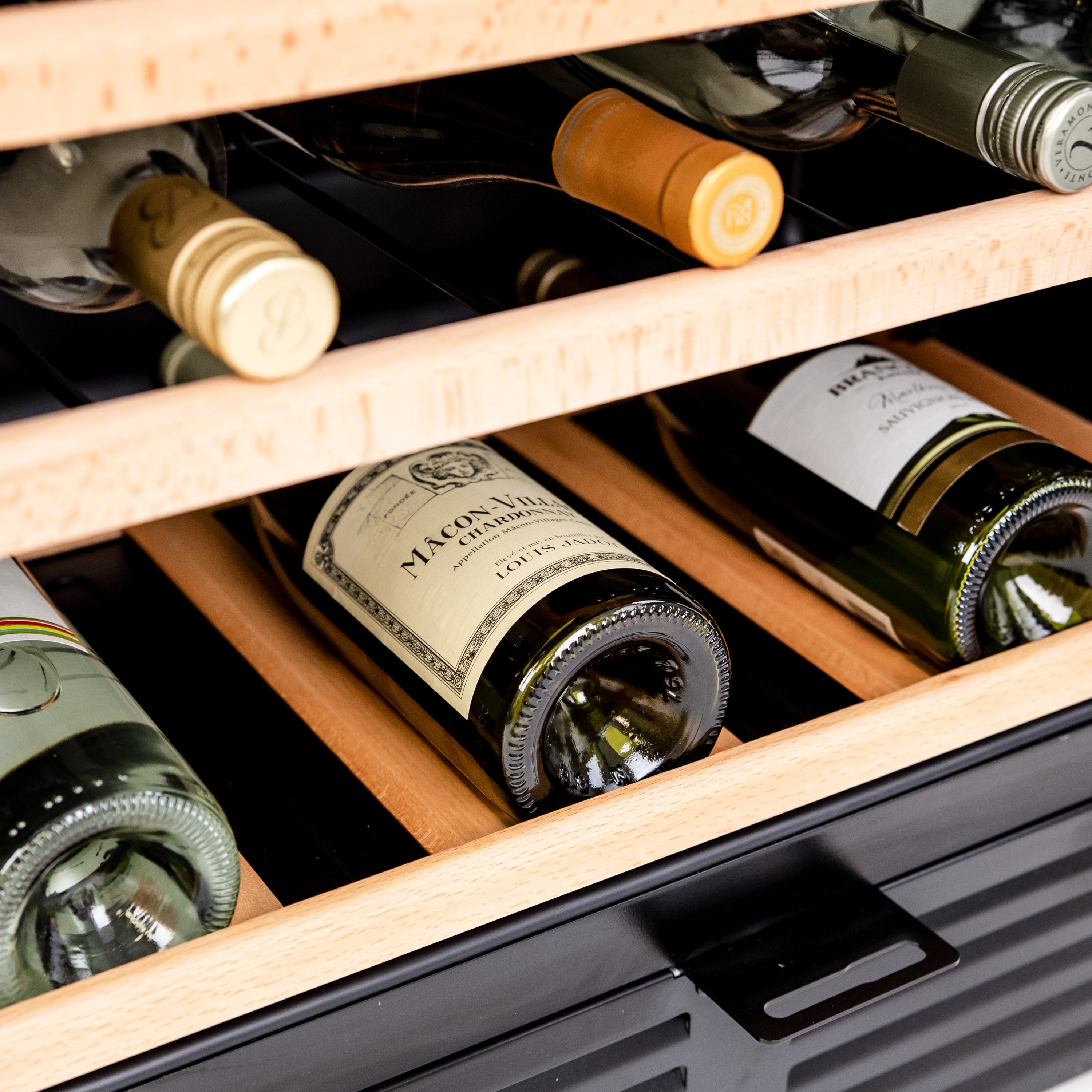 Avanti 50 Bottle Wine Cooler - WCR506SS