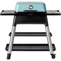Everdure By Heston Blumenthal FORCE 48-Inch 2-Burner Propane Gas Grill With Stand  - G2MUS