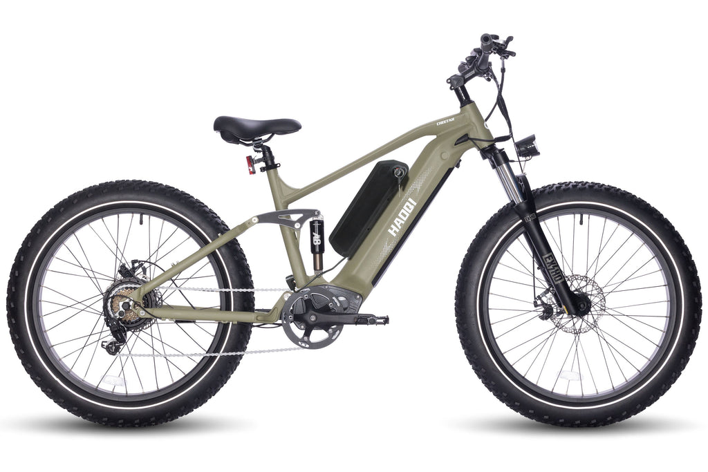 Char-Griller HAOQI Cheetah Full Suspension Electric Bike  - 1769846535760_681