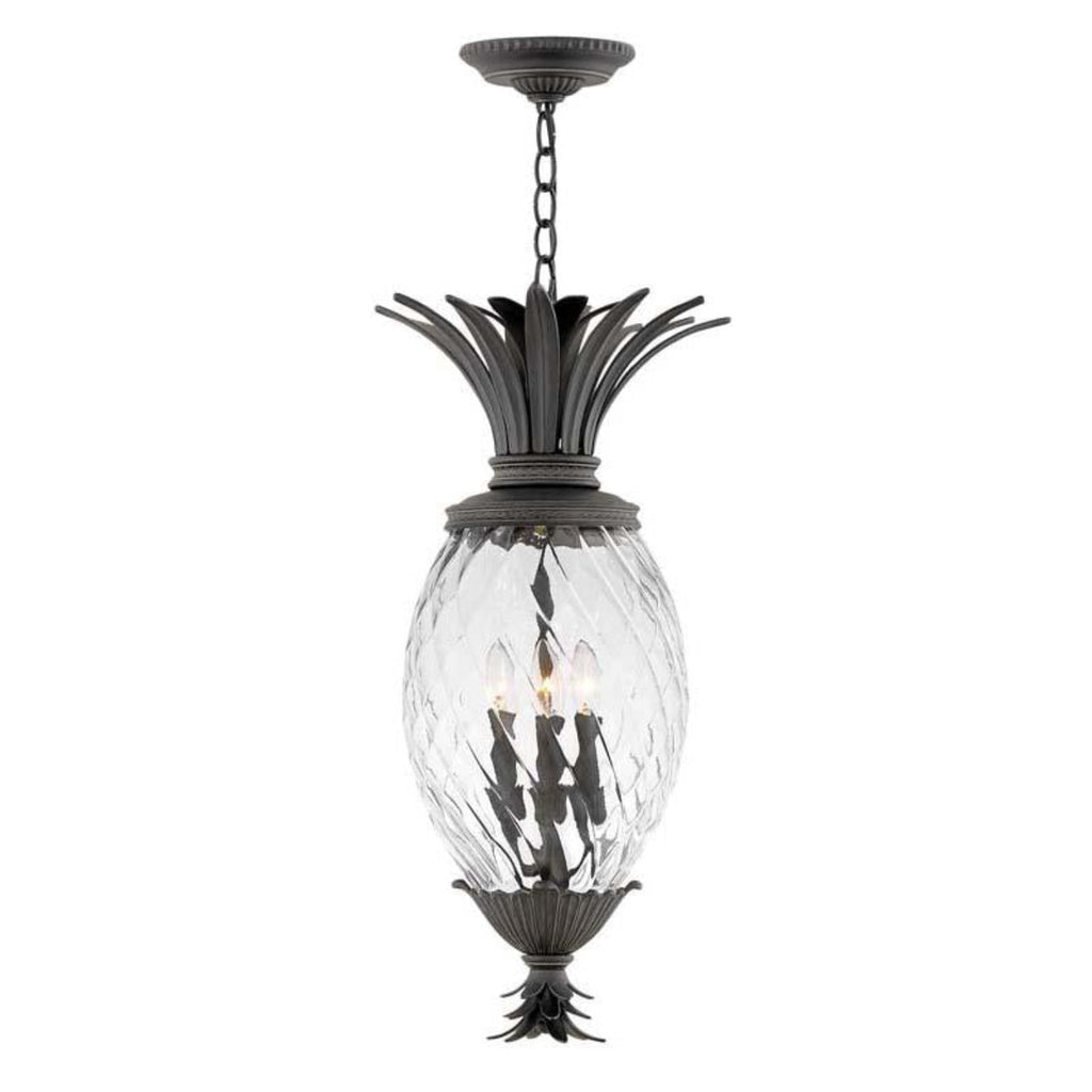 Hinkley Museum Black Outdoor Plantation Hanging Light - 2122MB