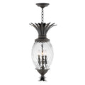 Hinkley Museum Black Outdoor Plantation Hanging Light - 2122MB