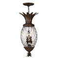 Hinkley Copper Bronze Foyer Plantation Pendant Light - 2222CB