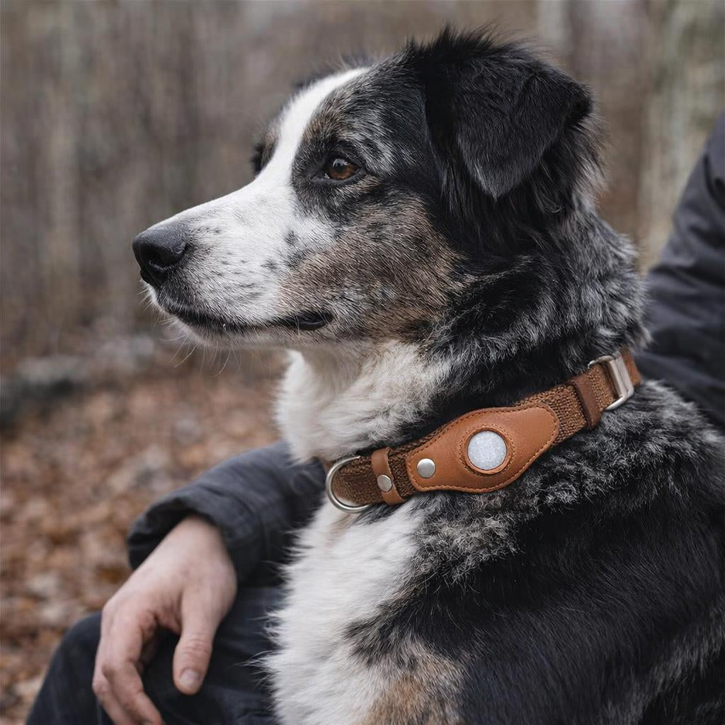 medaille-gps-chien