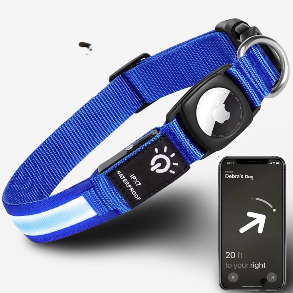 balise-gps-chien