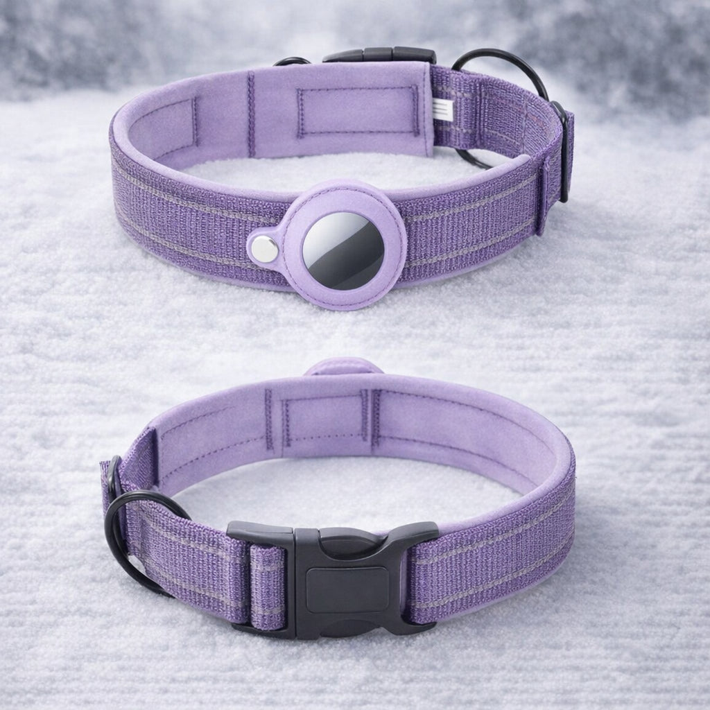 medaille gps chien
