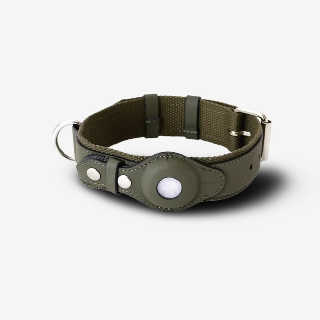 medaille-gps-chien