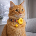 puce gps chat