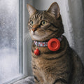 traceur gps animaux sans abonnement