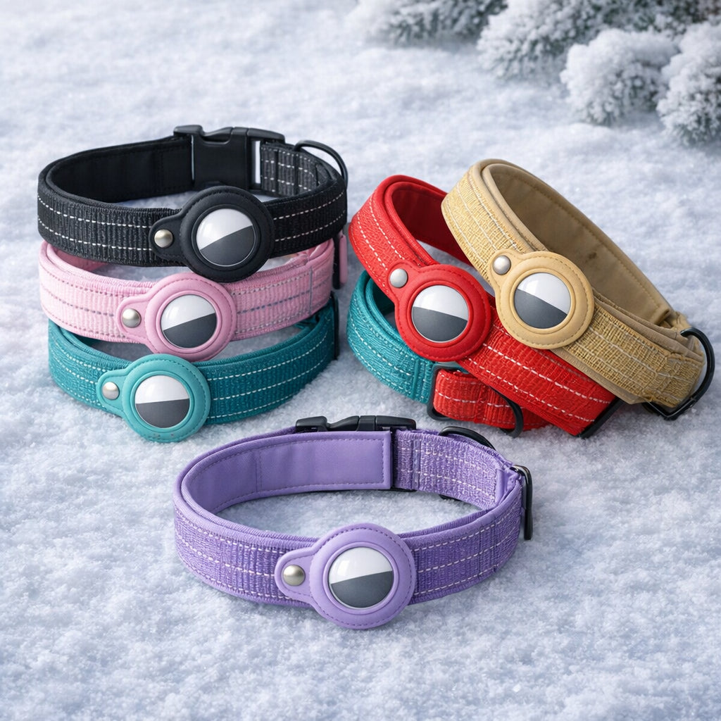 puce gps chien