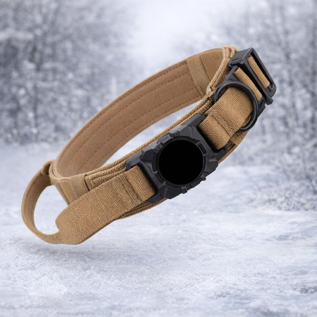 tracker gps chien