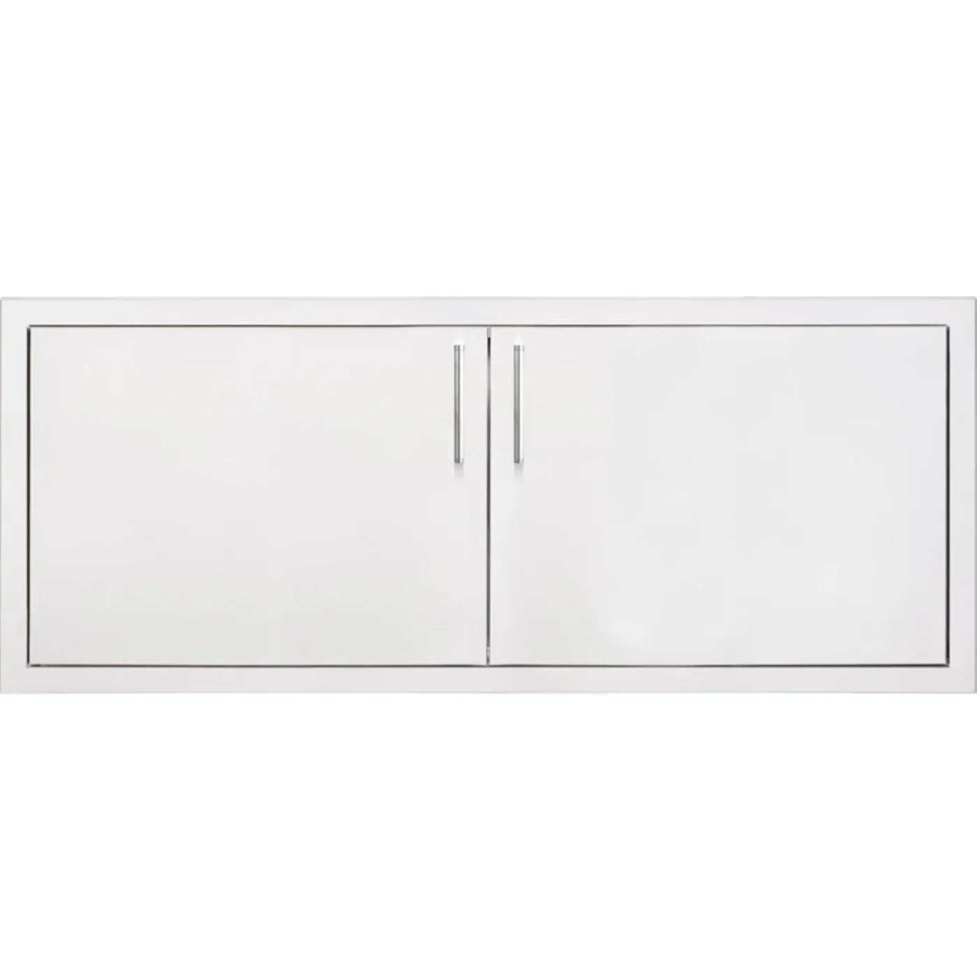 TrueFlame 39 Double Access Door- TF-DD-39-A