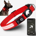 balise-gps-chien
