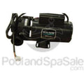 MASTER SPAS 2 horsepower, 2 speed, 120V Sta-Rite - X321610